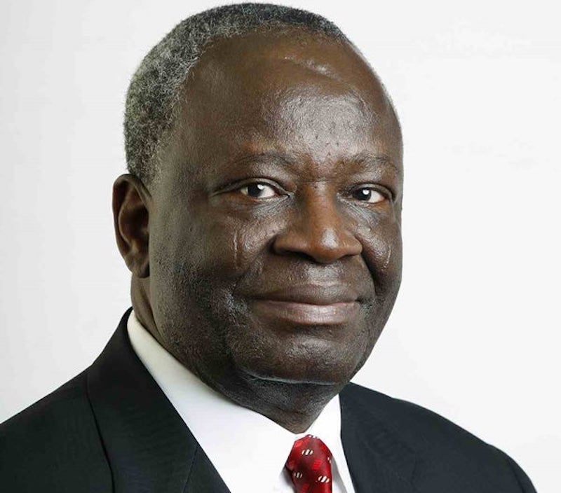 Prof. Gambari: A Global Diplomat from Nigeria-