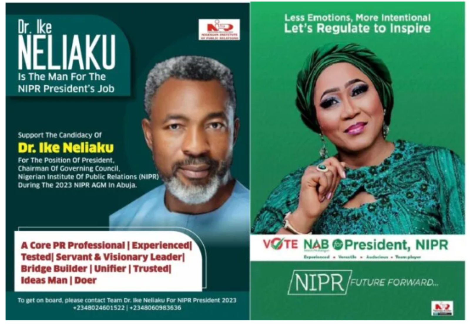 NIPR Presidency: Between Nkechi Ali-Balogun and Ike Neliaku by YAShuaib