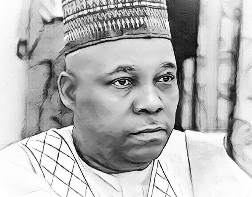 Tinubu’s Presidency: Where is Senator Shettima?