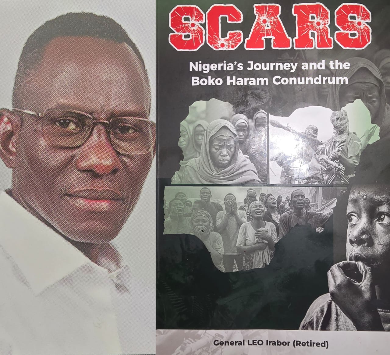 Irabor’s Scars on Northern Boko Haram and the Dead Horse Theory